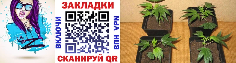 Наркошоп Санкт-Петербург МЕТАДОН АМФЕТАМИН МЕФ ГАШИШ
