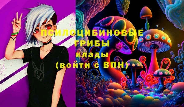 ПСИЛОЦИБИНОВЫЕ ГРИБЫ Алексин